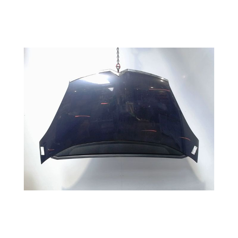 CAPOT CITROEN C4 PICASSO 007-