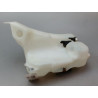 RESERVOIR LAVE-GLACE AVANT RENAULT MEGANE III Phase 1 2008-2012
