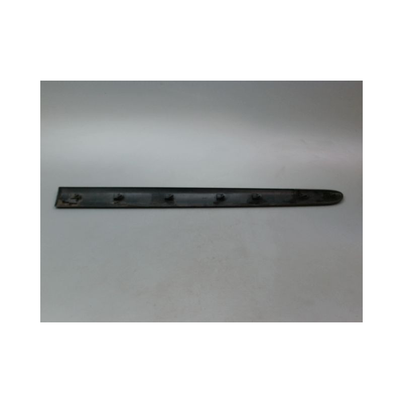 PROTECTION PORTE AVANT GAUCHE RENAULT CLIO CAMPUS II Phase 2 2009-2012