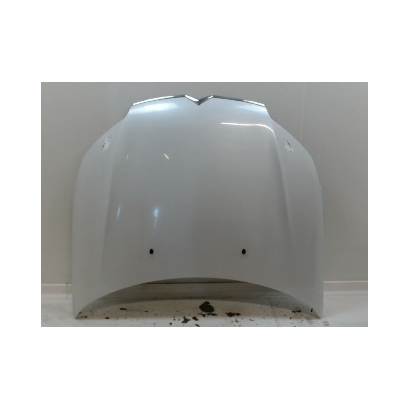 CAPOT CITROEN C5 BERL. II (X7) 2008-...