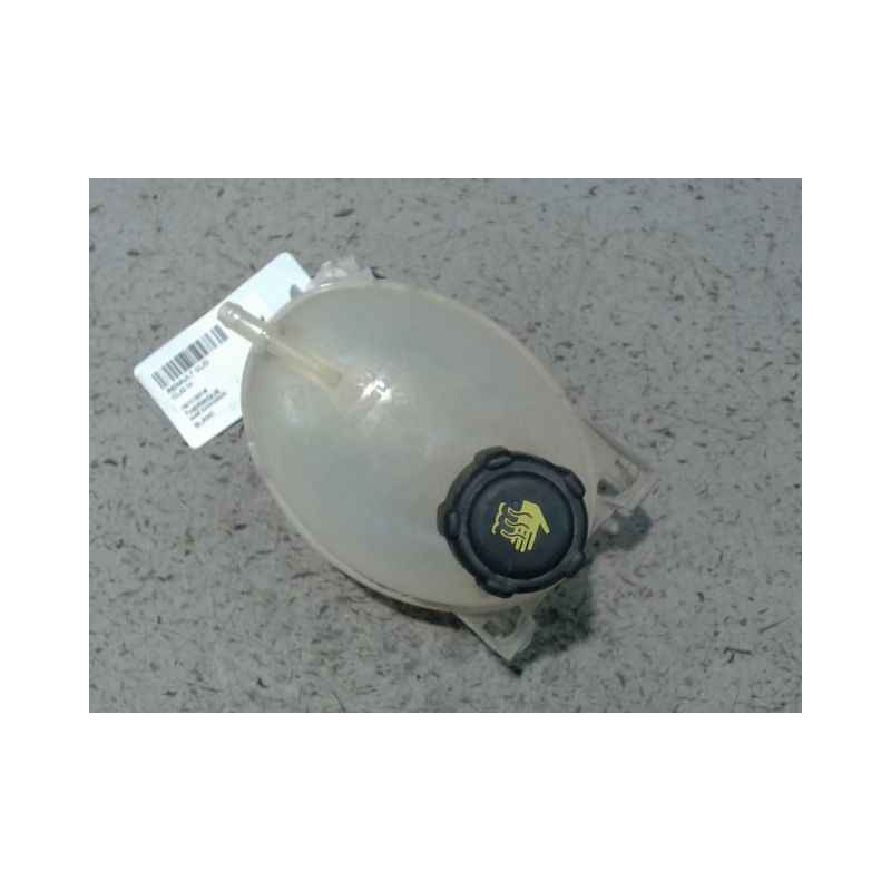 VASE EXPANSION RENAULT CLIO IV
