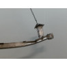 RENFORT PARE-CHOC AVANT RENAULT SCENIC MONOSP. III Phase 1 2009-2011