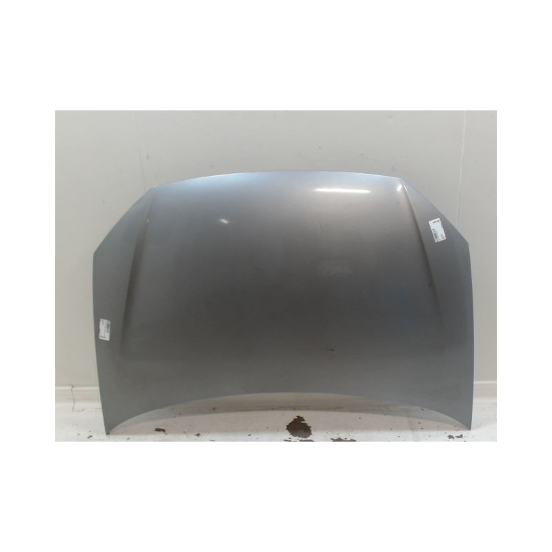 CAPOT VOLKSWAGEN POLO IV Phase 2 (9N) 2005-2009