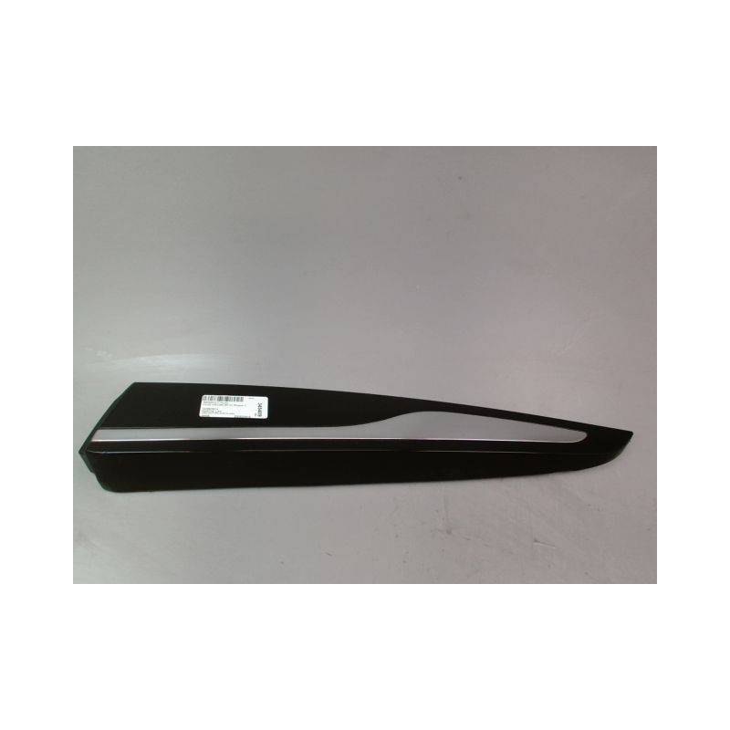 PROTECTION PORTE ARRIERE GAUCHE RENAULT CLIO IV Phase 1 2012-...