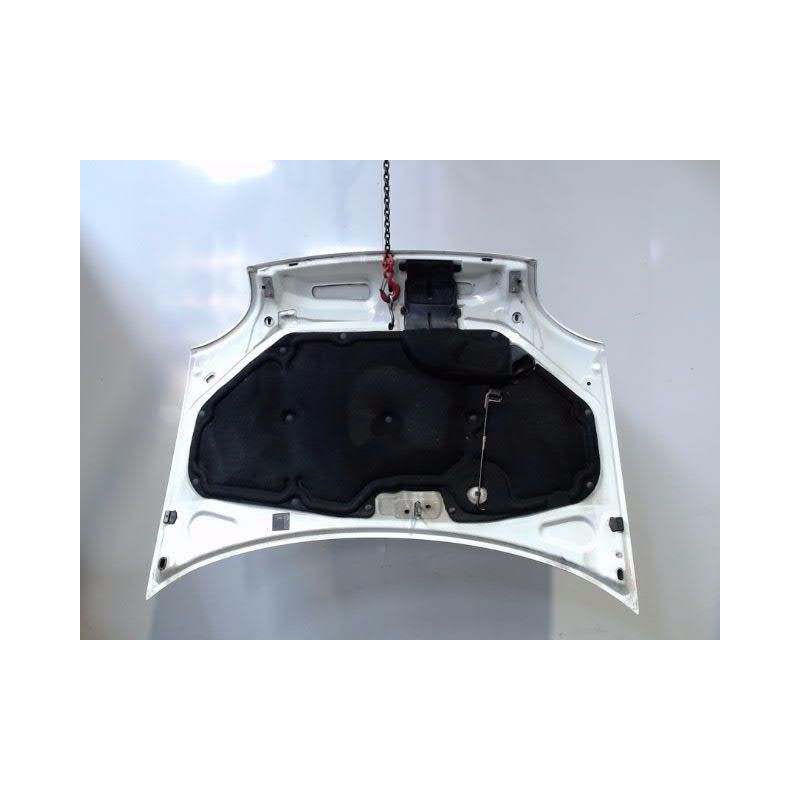 CAPOT RENAULT KANGOO EXPRESS 97-2003