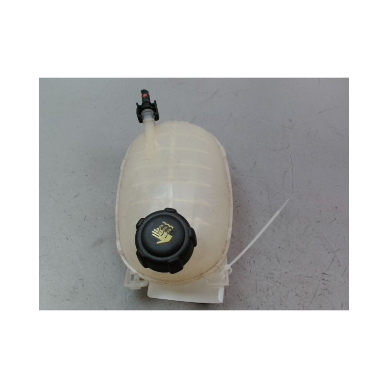 VASE EXPANSION RENAULT CLIO