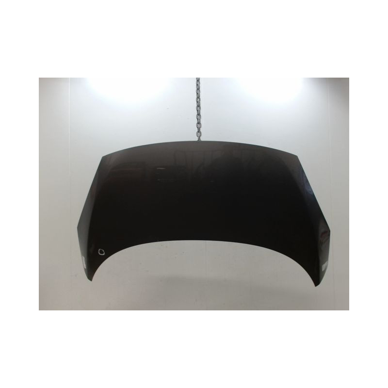 CAPOT RENAULT SCENIC MONOSP. III Phase 3 2013-...