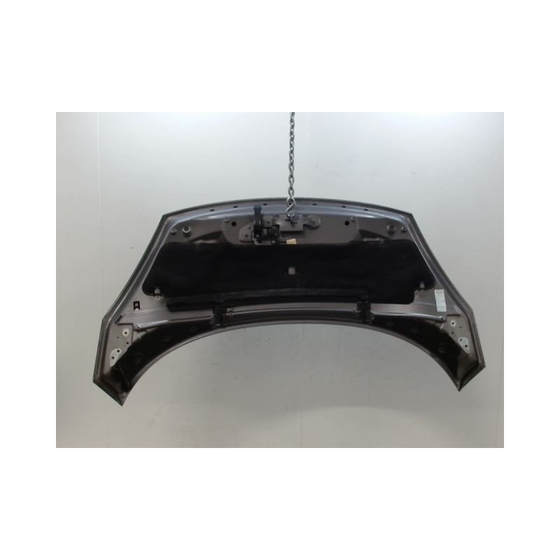 CAPOT RENAULT SCENIC MONOSP. III Phase 3 2013-...