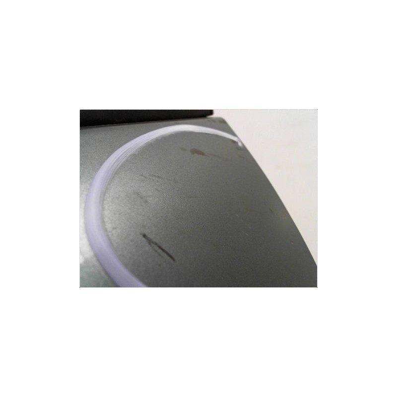 PORTE AVANT GAUCHE RENAULT SCENIC II PH1 02-06