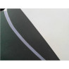 PORTE AVANT GAUCHE RENAULT SCENIC II PH1 02-06