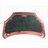 CAPOT FORD FOCUS COUPE 04-07