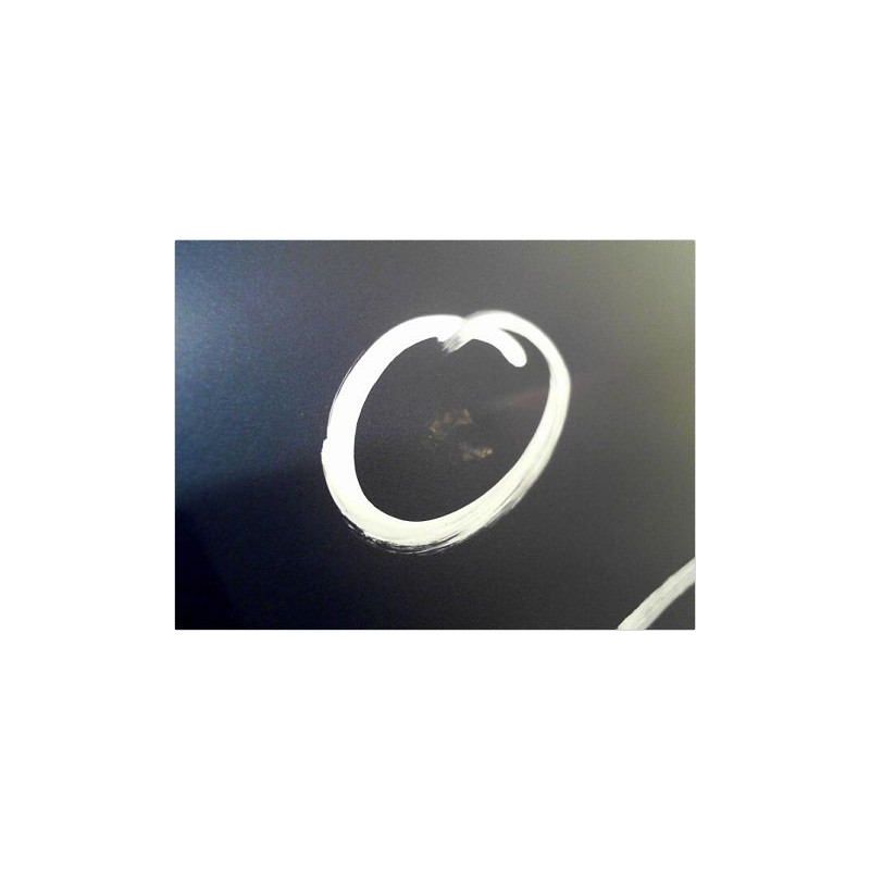 PORTE ARRIERE DROIT RENAULT MODUS 2004-2007