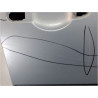 PORTE AVANT DROIT RENAULT LAGUNA II 00-2005