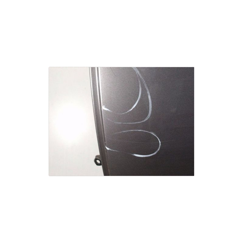 PORTE ARRIERE GAUCHE RENAULT MEGANE III PH2 12-14