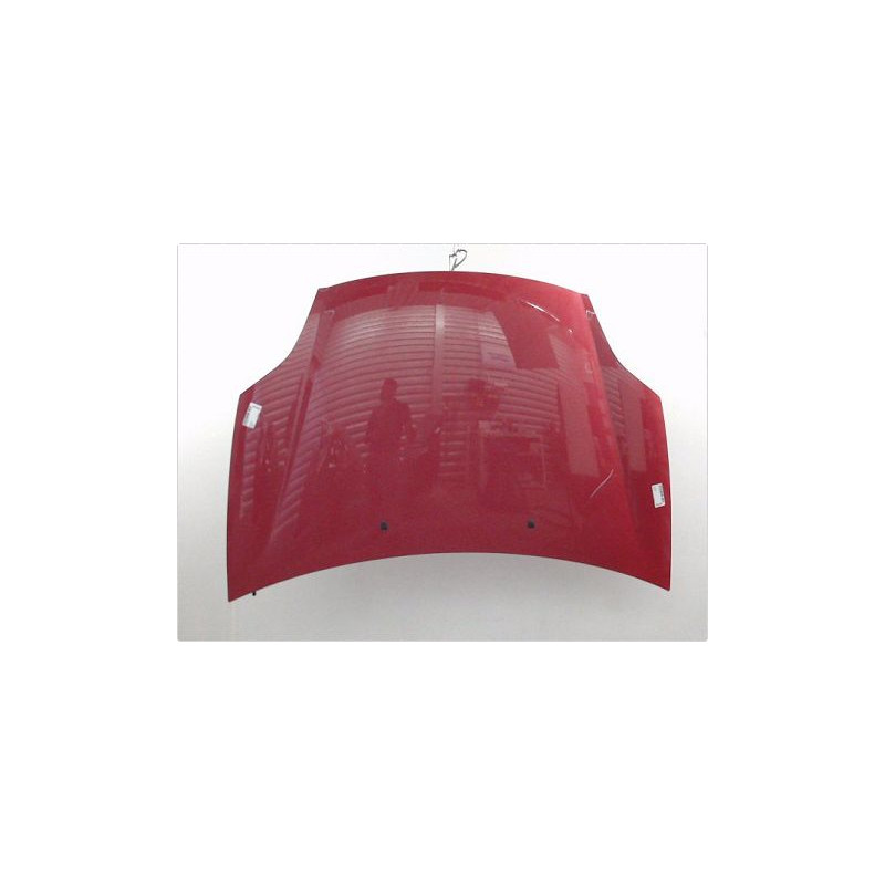 CAPOT FIAT BRAVO