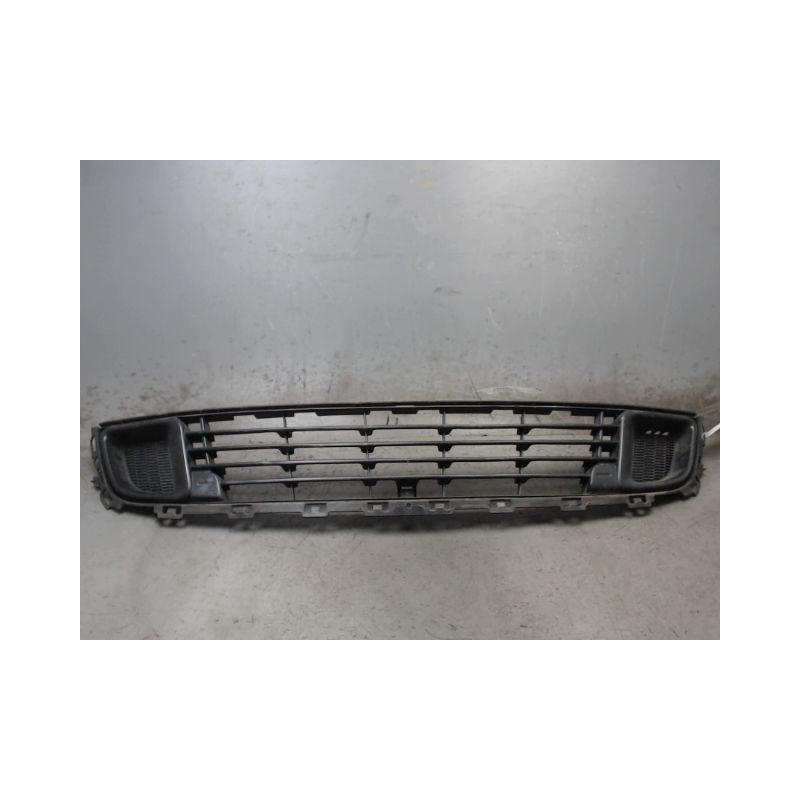 GRILLE PARE-CHOC AVANT CITROEN C5 2008-