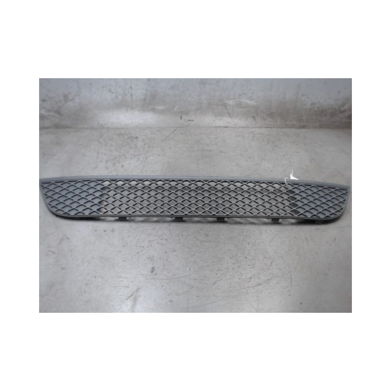 GRILLE PARE-CHOC AVANT FORD FIESTA 2005-