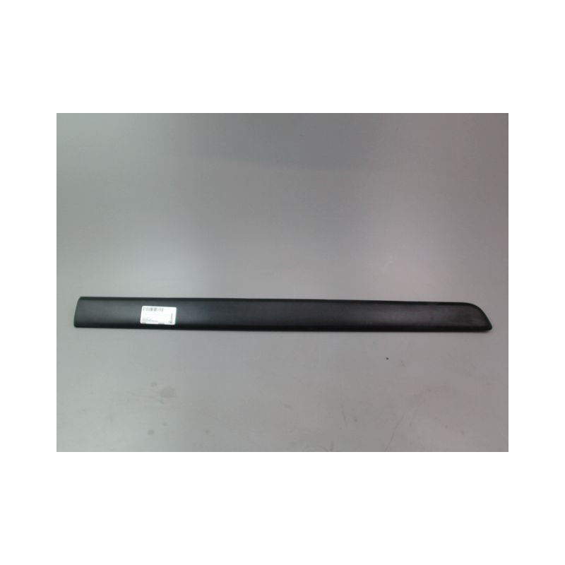 PROTECTION PORTE AVANT GAUCHE RENAULT KANGOO EXPRESS II Phase 2 2013-...