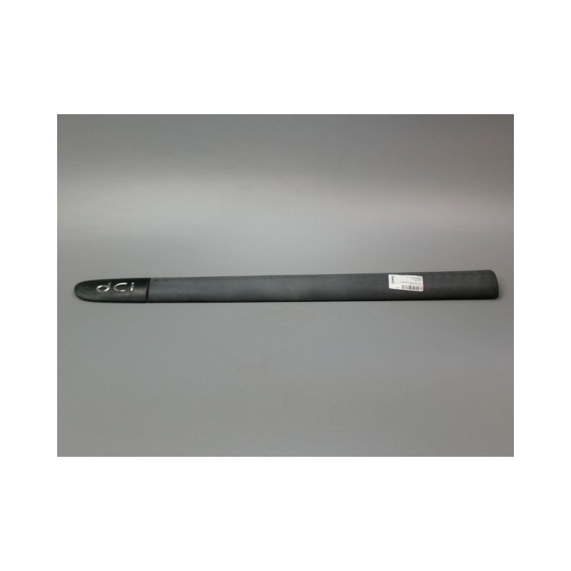 PROTECTION PORTE AVANT GAUCHE RENAULT CLIO II Phase 2 2001-2006