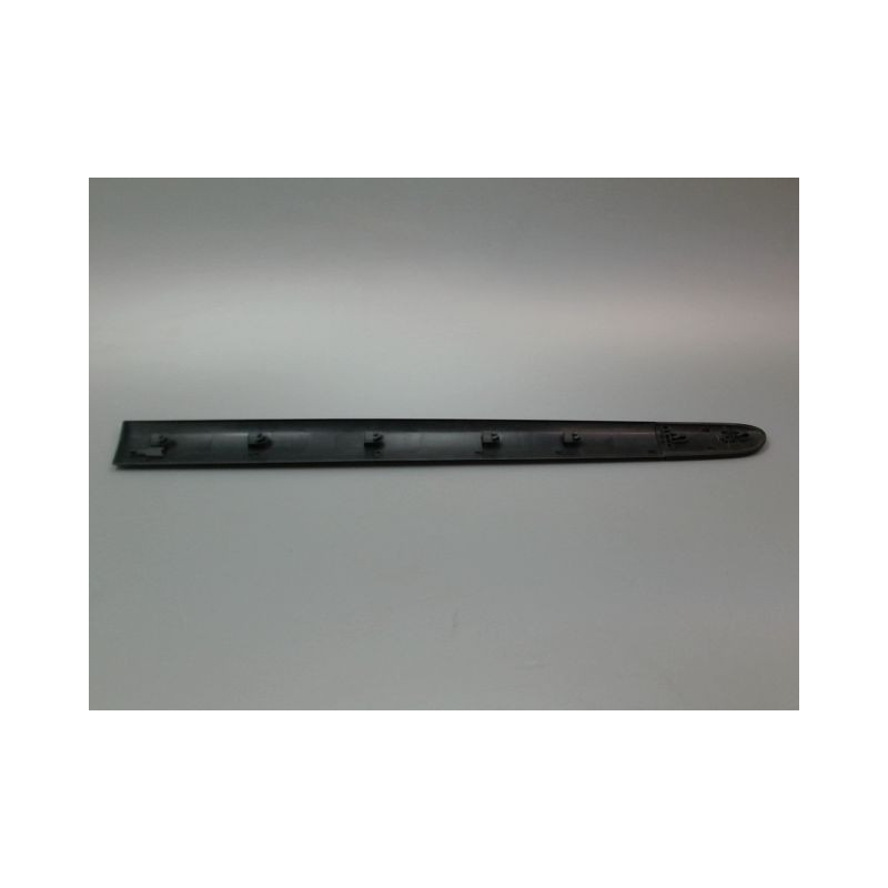PROTECTION PORTE AVANT GAUCHE RENAULT CLIO II Phase 2 2001-2006