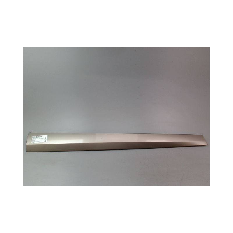 PROTECTION PORTE AVANT GAUCHE RENAULT MEGANE III Phase 1 2008-2012