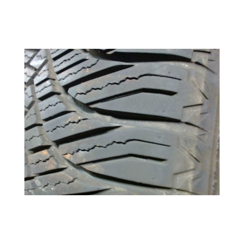 Paire de pneus GOODRIDE ALLSEASON ELITE Z401 195 55 16 91 V