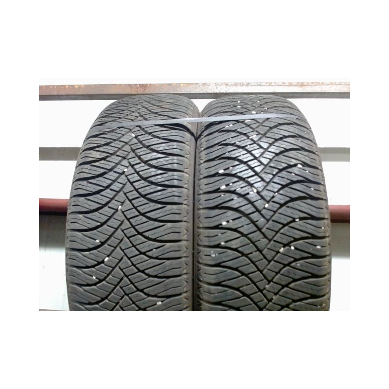 Paire de pneus GOODRIDE ALLSEASON ELITE Z401 195 55 16 91 V