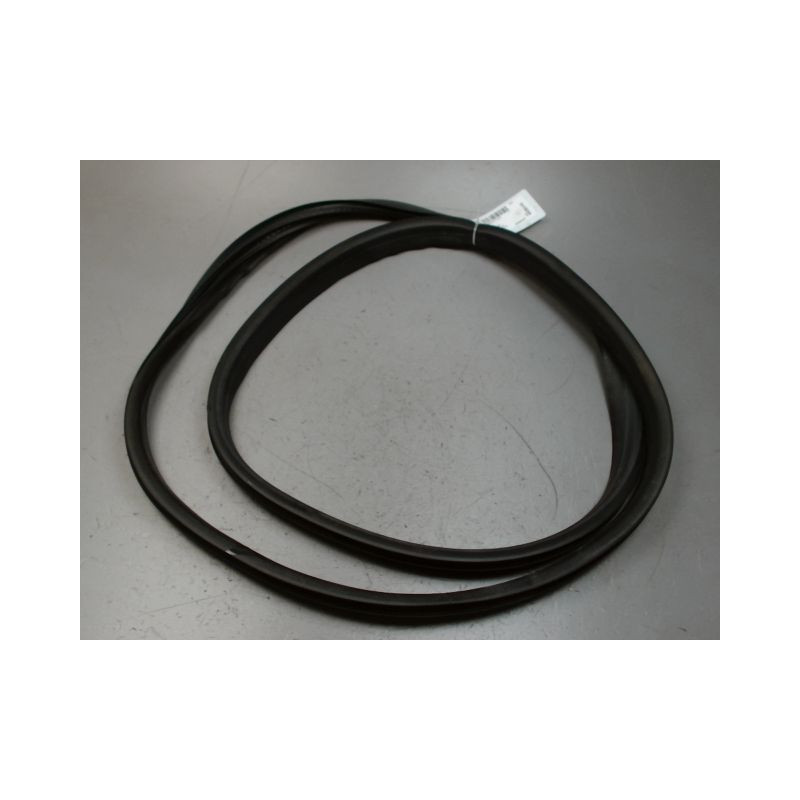 JOINT PORTE AVANT GAUCHE RENAULT CLIO