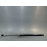 VERIN HAYON G RENAULT CLIO
