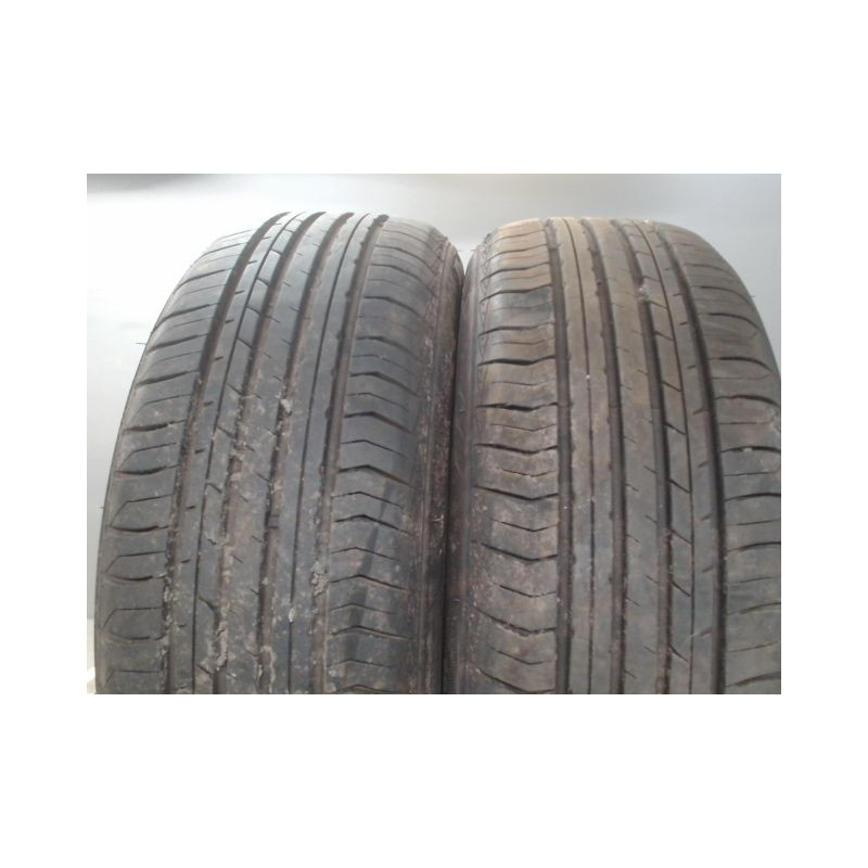 Paire de pneus EVERGREEN DYNACONFORT EH226 195 55 16 91 V