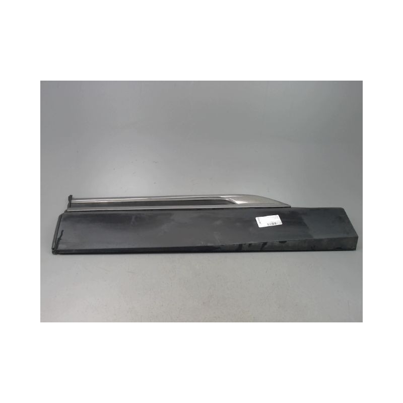 PROTECTION PORTE ARRIERE GAUCHE RENAULT ESPACE
