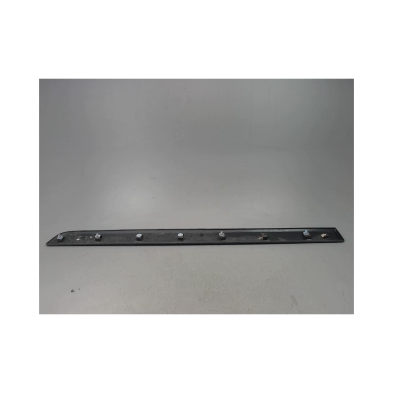 PROTECTION PORTE AVANT GAUCHE RENAULT KANGOO BREAK II Phase 1 2008-2013