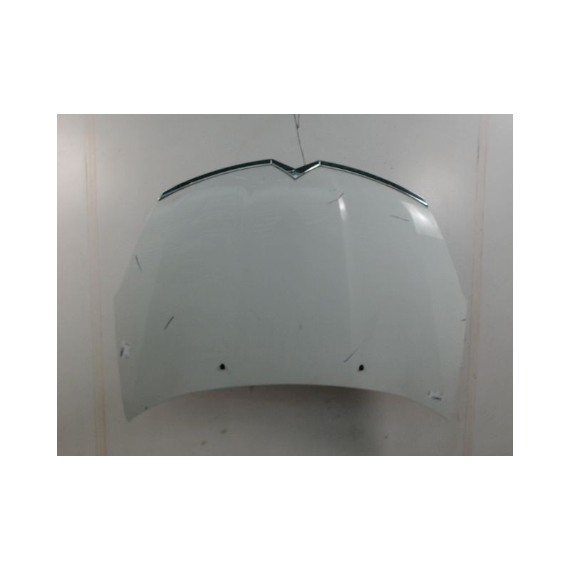 CAPOT CITROEN C-CROSSER