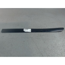 PROTECTION PORTE ARG