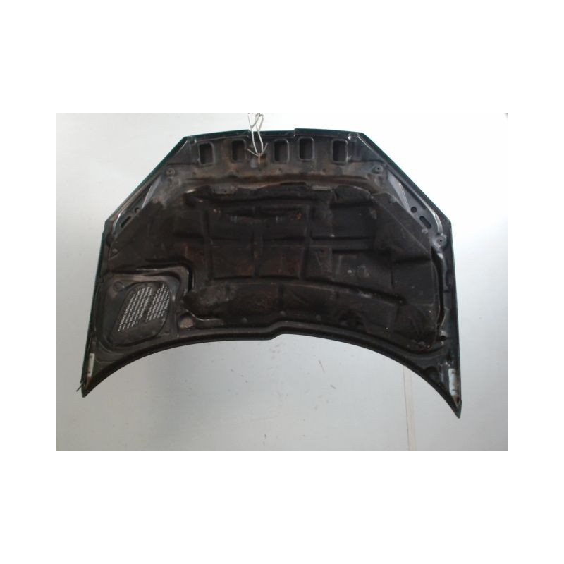 CAPOT PEUGEOT 206