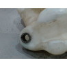 RESERVOIR LAVE-GLACE AVANT CITROEN C4
