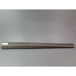 PROTECTION PORTE AVD