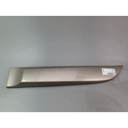 PROTECTION PORTE ARG