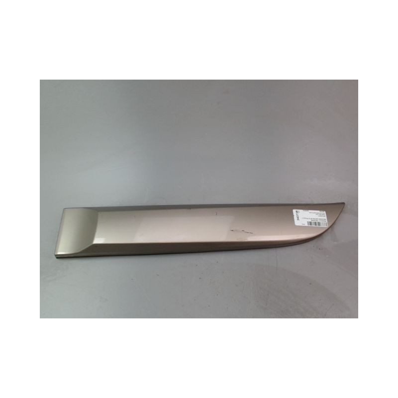 PROTECTION PORTE ARRIERE GAUCHE RENAULT MEGANE III Phase 1 2008-2012