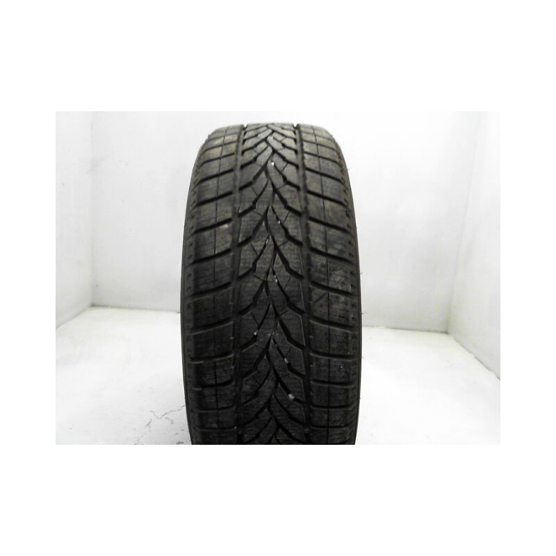Pneu STAR PERFORMER WINTER AS 205 60 15 91 H