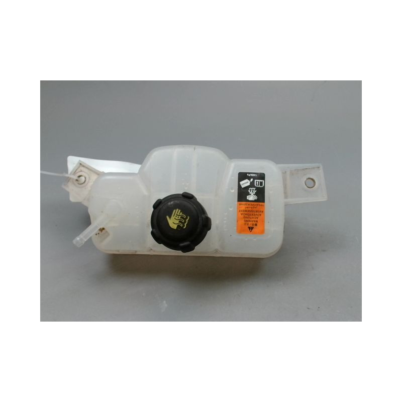 VASE EXPANSION RENAULT KADJAR BREAK 2015-...