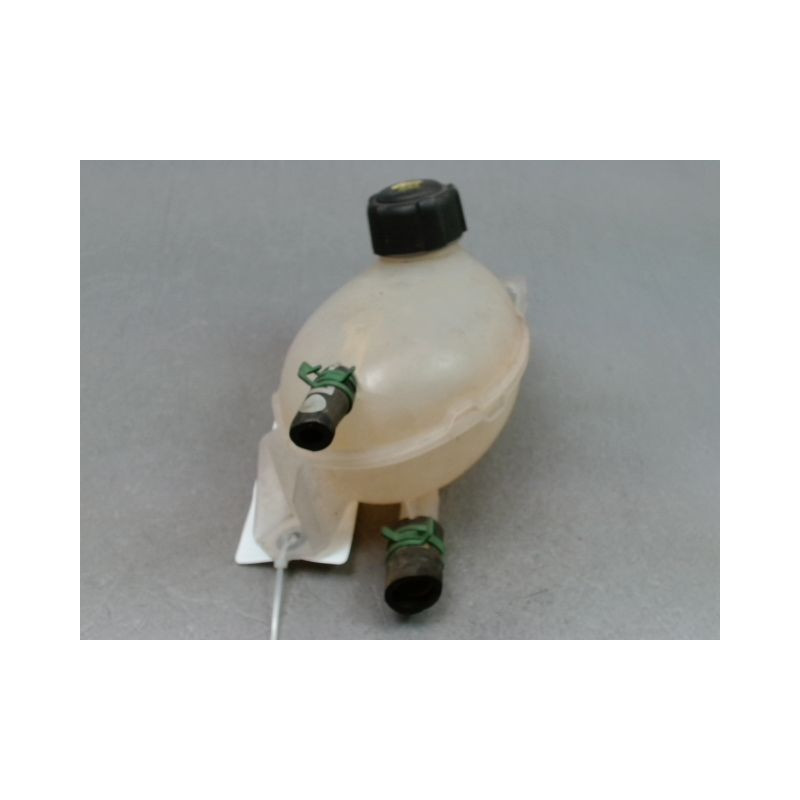 VASE EXPANSION RENAULT CLIO IV Phase 1 2012-...