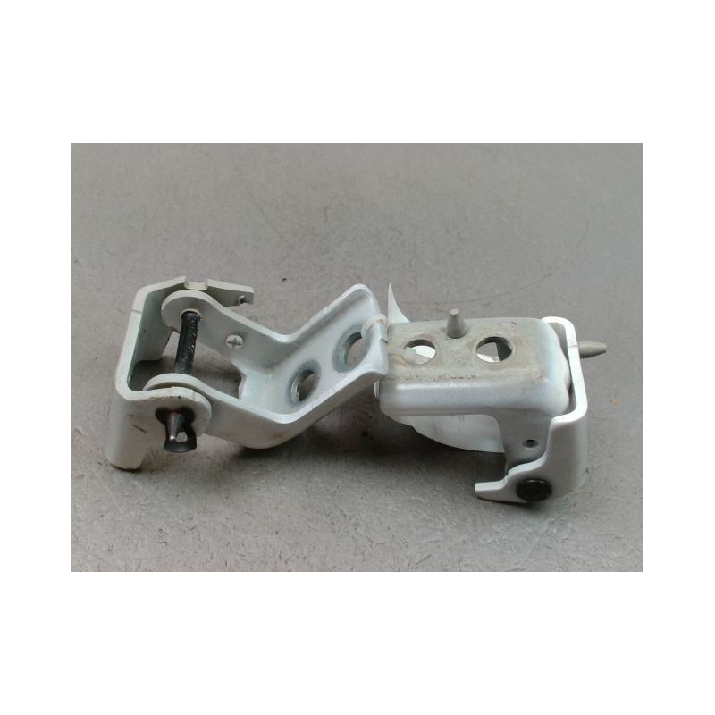 CHARNIÈRE PORTE AVG PEUGEOT 208 2012-...