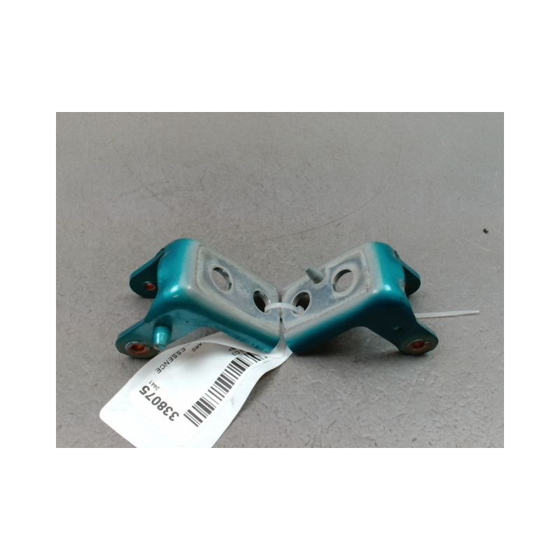 CHARNIÈRE PORTE ARG CITROEN C3 2009-