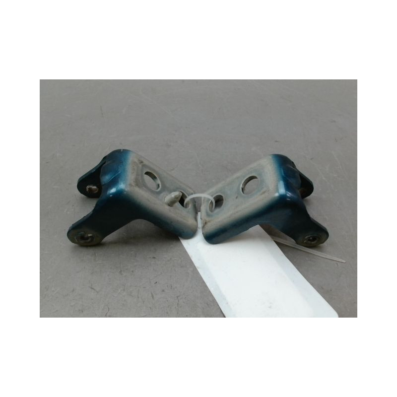 CHARNIÈRE PORTE AVG CITROEN C4 PICASSO 007-