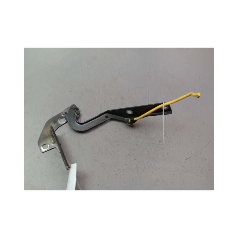 COMPAS GAUCHE CAPOT CITROEN GRAND C4 PICASSO MONOSP. I LONG 2006-2013