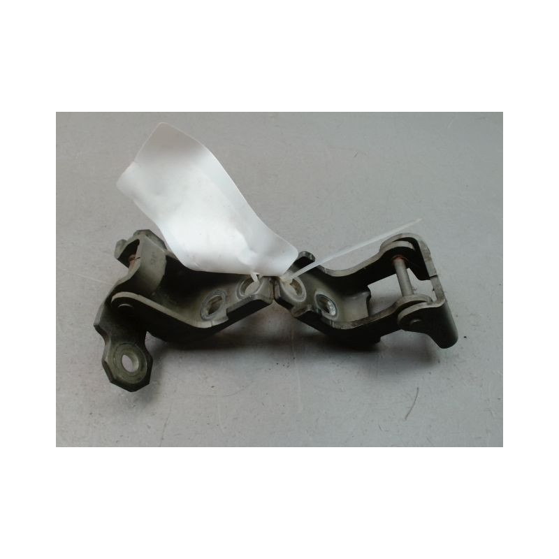 CHARNIÈRE PORTE AVG RENAULT SCENIC MONOSP. III Phase 1 2009-2011