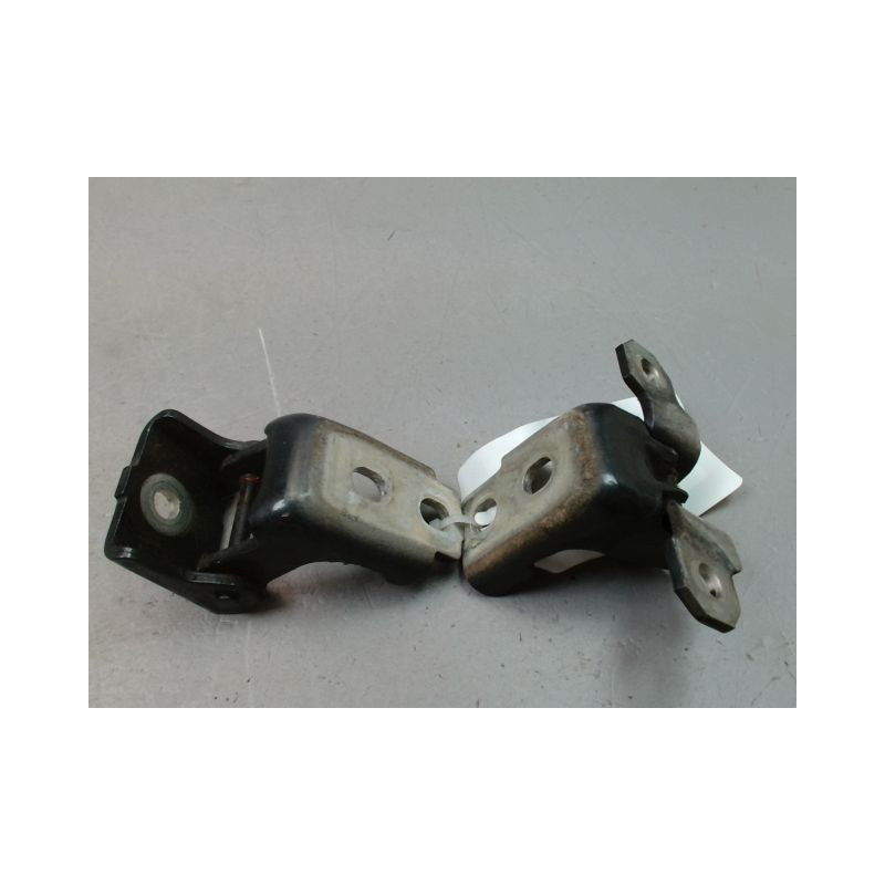 CHARNIÈRE PORTE AVG RENAULT SCENIC MONOSP. III Phase 1 2009-2011