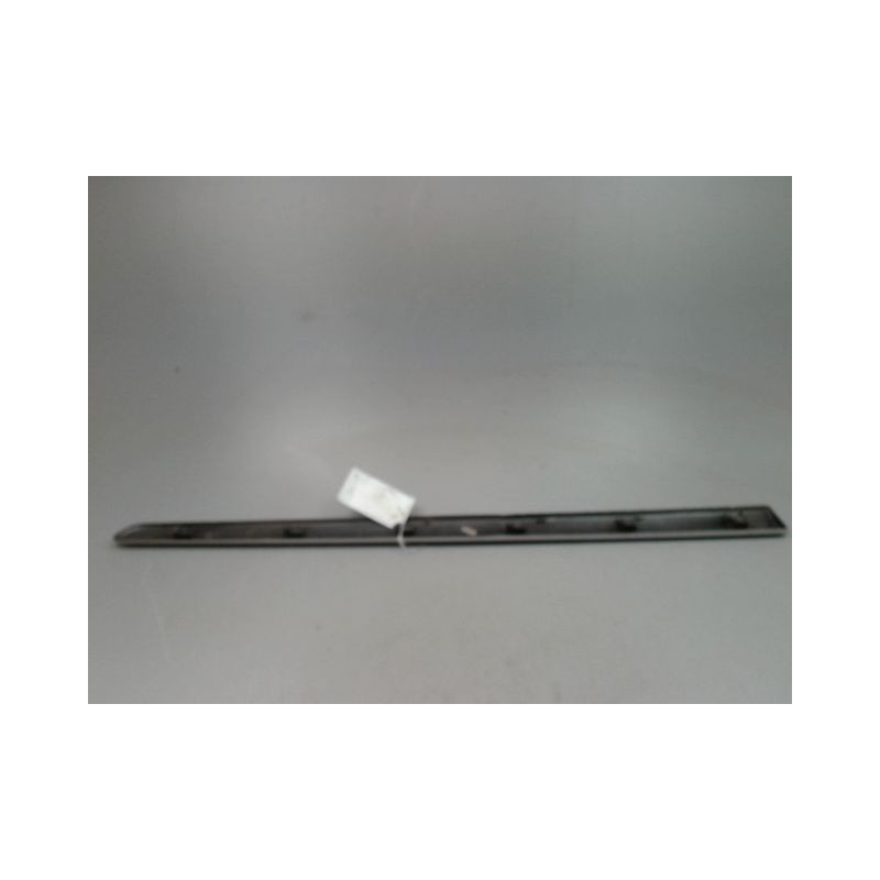 PROTECTION PORTE AVANT GAUCHE CITROEN C3 I Phase 1 2002-2005