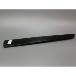 PROTECTION PORTE AVD